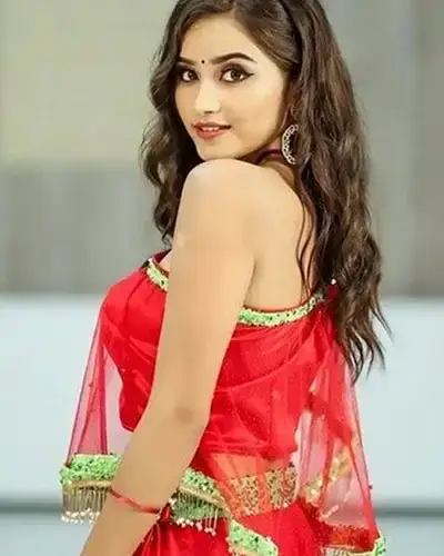 Call Girls Service Palakkodu